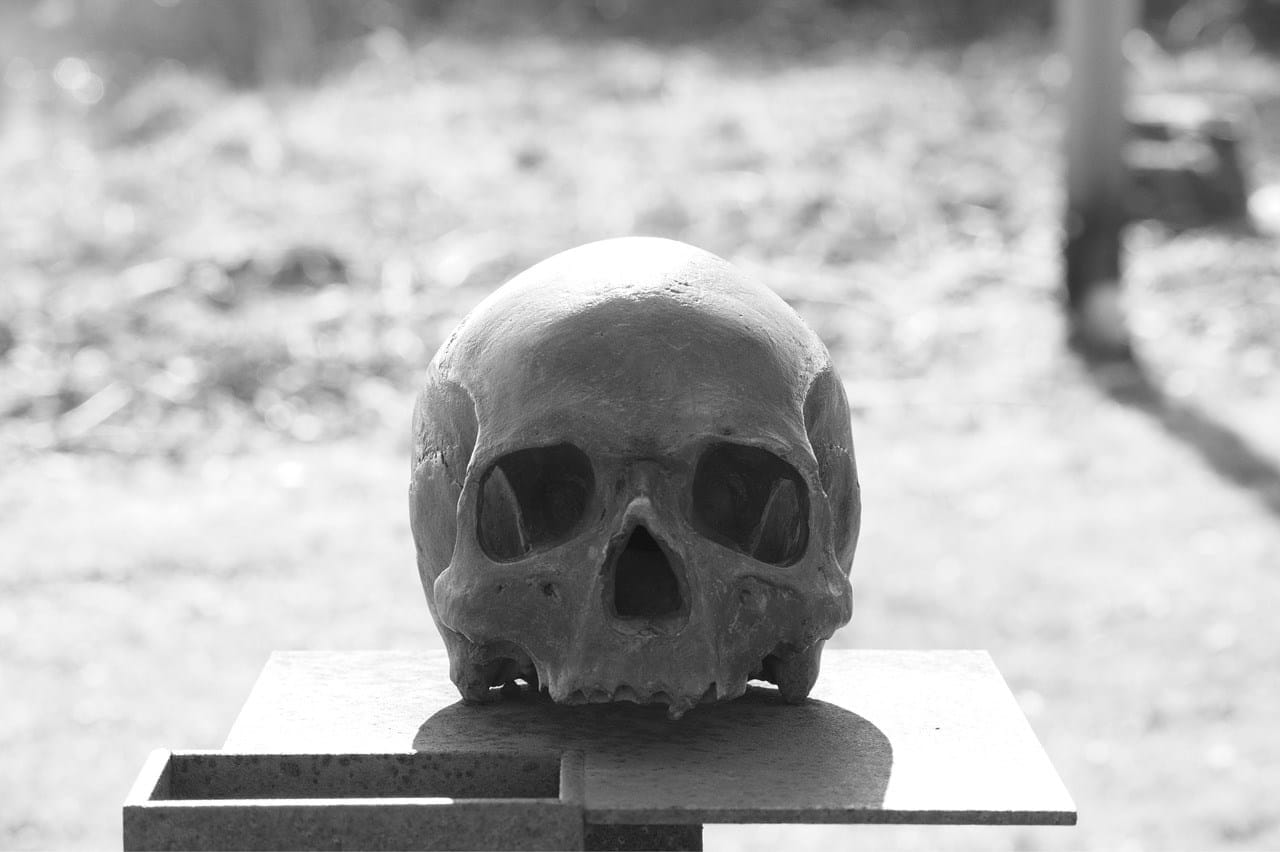 Manfred Antranias Zimmer/Pixabay