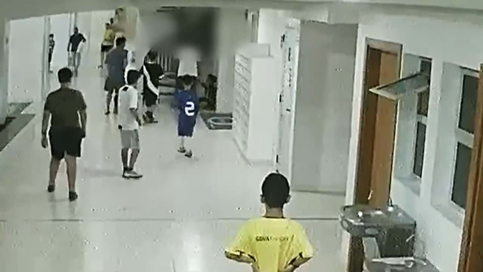 Reprodução