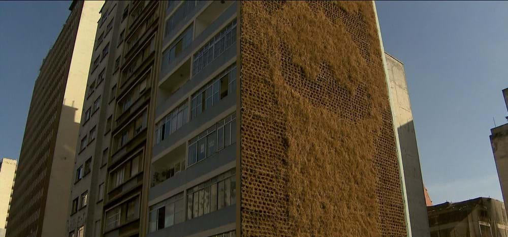 Reprodução/TV Globo