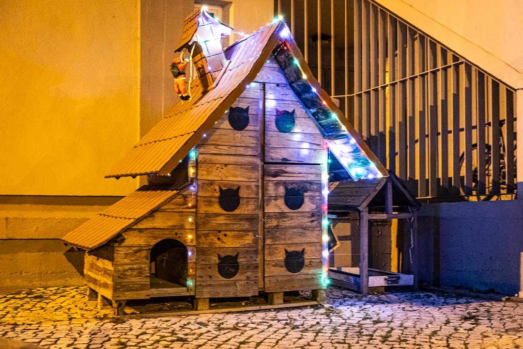 O NATAL DA BICHARADA
                                                