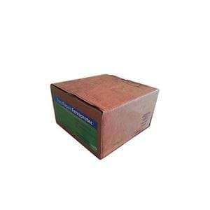 Eucorepair Ferroprotec 5Kg