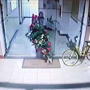 Homem invade condomínio para roubar árvore de Natal