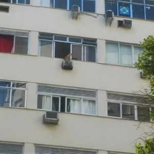 Cachorro é resgatado de 7º andar de prédio no Rio de Janeiro