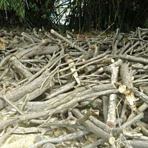 Condomínio é multado por crime ambiental em Maceió