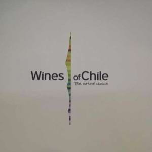 4º Tasting Wines of Chile SP: Novidade para o mercado brasileiro e para o consumidor