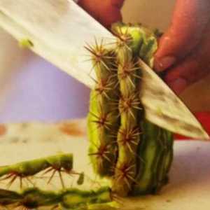 O Festival Cultura e Gastronomia Tiradentes traz novidades e aposta em aumentar a interação com o publico em sua 17ª edição