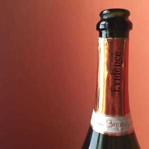 Salton atrai paladares com seus vinhos no  Winebar