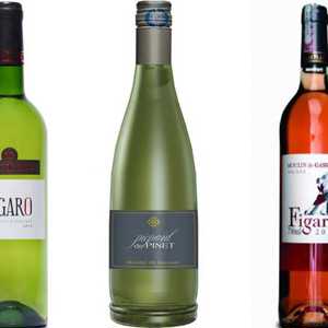 Mas De Daumas Gassac: Quando os vinhos do Languedoc se fundem a música brasileira