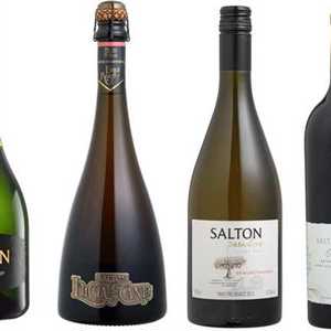 A marca brasileira Salton celebra seus 105 anos em sua melhor forma