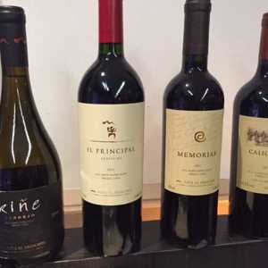 Viña El Principal: O Enólogo Gonzalo Guzman traz novidades do Vale do Maipo