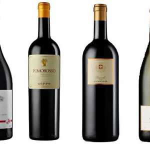 A expressão piemontesa dos Barberas de Paolo Coppo