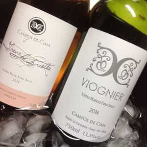 Vinhos de verão: Vinícola Campos de Cima lança rosé e branco com toque francês