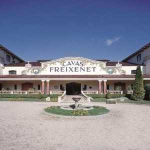 A hispânica Freixenet apresenta Cava Rosada em nova roupagem e embalagem especial para as festas de fim de ano