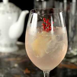 Receita: O Barman Marcelo Serrano ensina como fazer coquetel com IceTropez