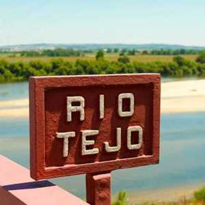 A Grande Prova Anual dos Vinhos do Tejo em SP