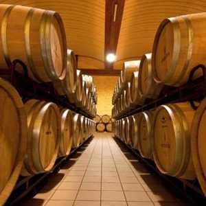 Bodega Iniesta: Vinhos do Atleta espanhol se destacam no Brasil