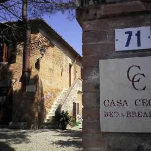 O La Mora Morelino di Scansano do Italiano Cecchi