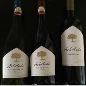 Vinhos Arboleda: Maria Eugênia Chadwick assume a marca chilena internacionalmente e apresenta novidades