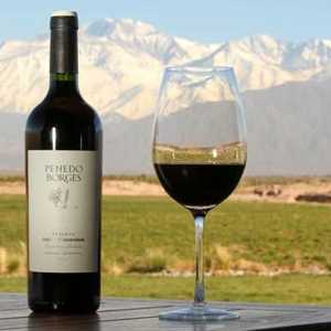 Elegância marca a primeira década de vida da linha argentina Penedo Borges