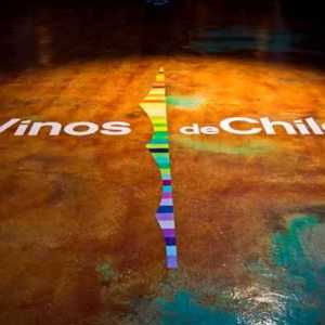 5° Tasting Wines of Chile SP: Conheça os pontos altos do evento