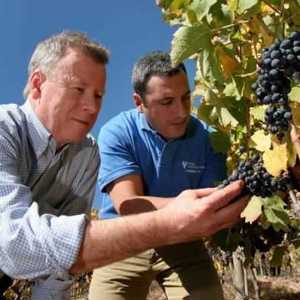 A casta Syrah rouba a cena na presença dos enólogos Felipe Tosso e John Duval