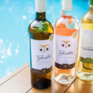 Grande Prova Anual dos Vinhos do Tejo em SP: Brancos e Rosés portugueses flertam com o paladar dos brasileiros