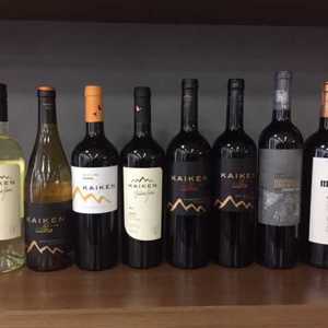 Anita Correas Argerich lança o Kaiken Obertura Cabernet Franc 2013