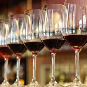 Expovinis: Maior e mais importante feira de vinhos no Brasil completa 20 anos e apresenta mudanças e novidades para a edição 2016