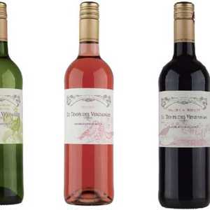 Empratamos: O lançamento da linha Le Temps de Vendange de Georges Vigouroux