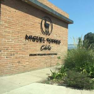 Especial Chile: A filosofia orgânica dos vinhos Miguel Torres Chile