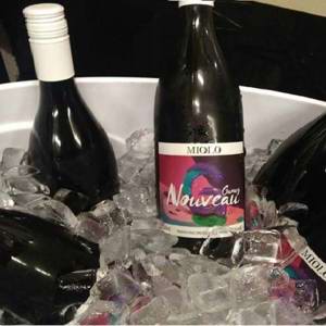 Miolo apresenta seu Gamay Nouveau 2017