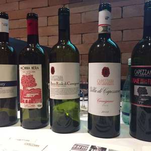 A natureza potente da Tenuta Di Capezzana