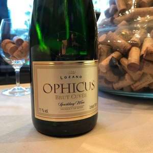 Decanter Day: Escolhemos algumas preciosidades para você ter na sua adega