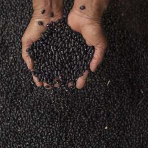 Documentário: Fonte da Juventude aborta os desafios da educação alimentar no Brasil