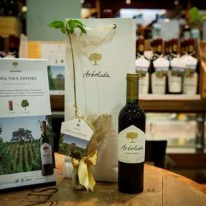 Abra uma Árvore: Viña Arboleda lança campanha para reflorestamento no Chile