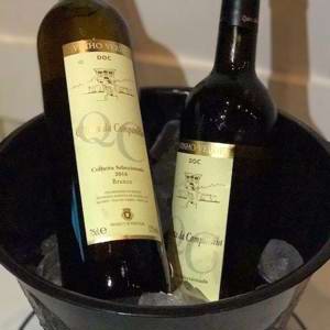 Vinho Verde: A lusitana Quinta da Companhia chega ao Brasil