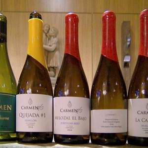 Chile no mais alto grau: Viña Carmen apresenta sua nova enóloga e a linha Carmen DO