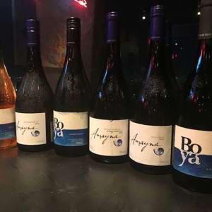 Maria Paz Garcés Silva da Viña Garcés Family Vineyards apresenta suas jóias chilenas