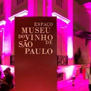 MOVI: O prodigioso movimento de vinhateiros chilenos fascina São Paulo