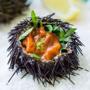 Ouriço do mar é o protagonista do Go Foodies World Tour na Espanha