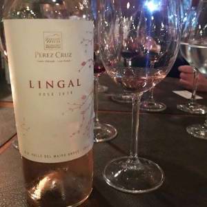 O enólogo Germán Lyon apresenta novidade da chilena Perez Cruz e fala dos novos desafios