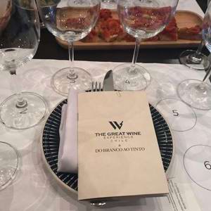 The Great Wine Experience: Apresenta enoturismo impar em experiência no Chile