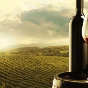 Sul da França sediará o Salon Destination Vignobles em outubro