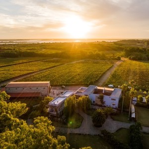 Especial Uruguai: A excepcional Narbona