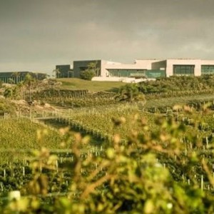 Um império chamado Garzón