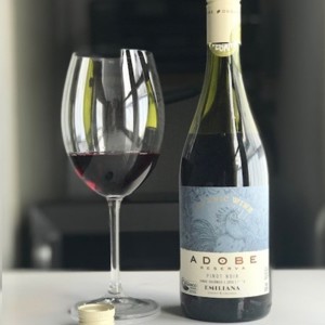 Adobe: O biscoito fino da vinícola chilena Emiliana