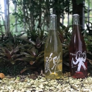 Os vinhos vivos da Vivente