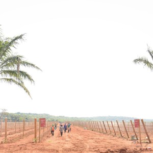   Arpuro: Nova vinícola no Cerrado Mineiro começa a escrever sua história no mundo do vinho brasileiro