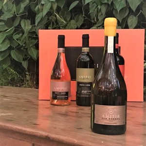 A brasileira Amitié apresenta seu premiado Chardonnay Oak Barrel 2020