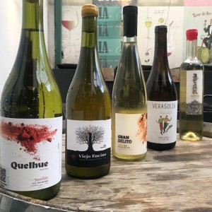 Vinos de Patio e seus rótulos do Vale do Itata, no Chile